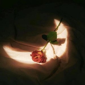 a在线观看欧美在线观看
