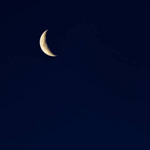 a在线观看欧美在线观看
