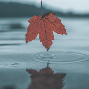 a在线观看欧美在线观看
