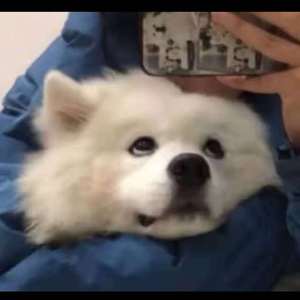 a在线观看欧美在线观看
