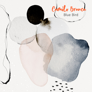 a在线观看欧美在线观看
