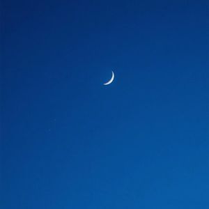 a在线观看欧美在线观看
